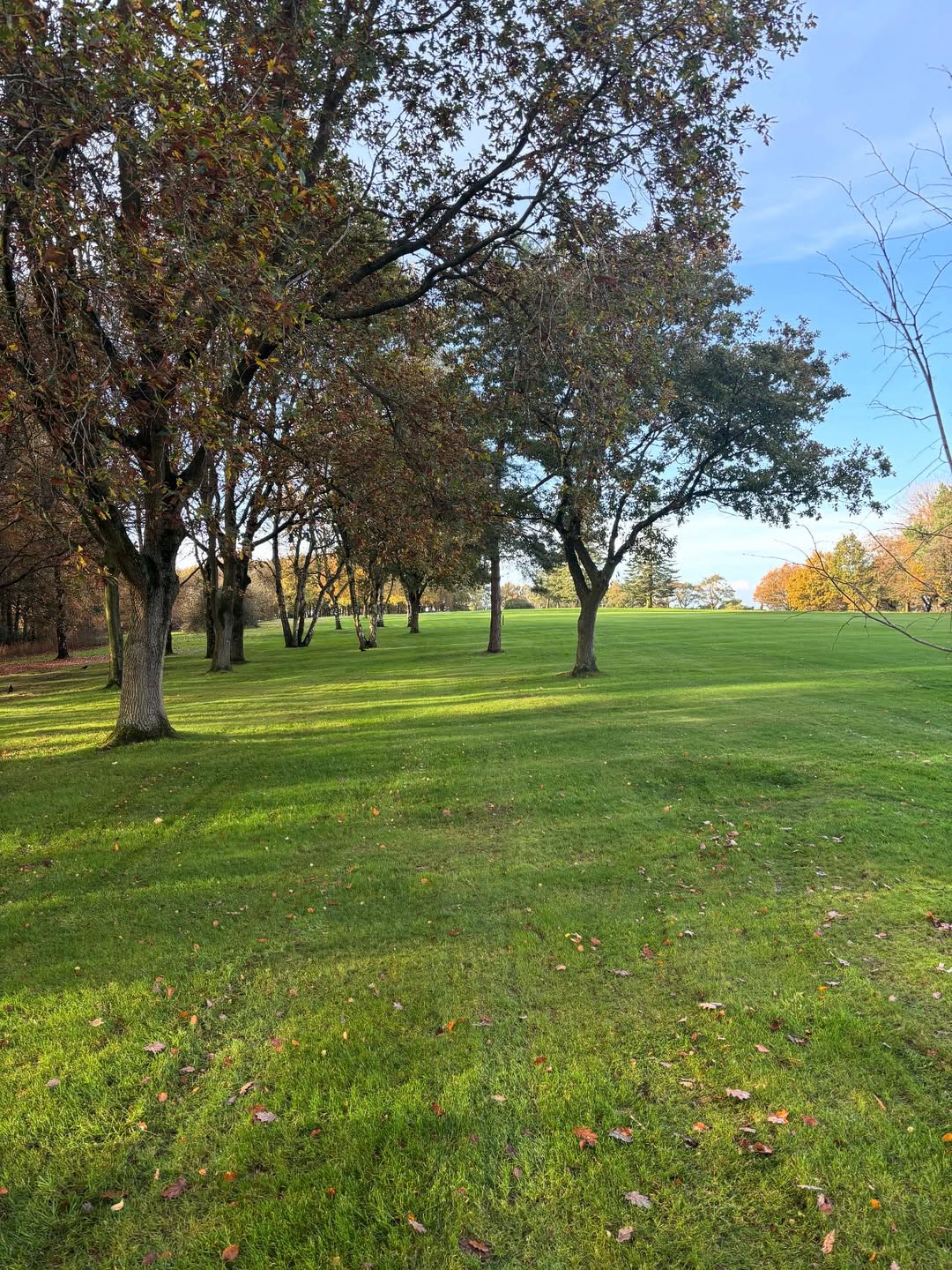 Greens Team Completes Drainage, Focus Shifts to Leaf Clearance - @https://www.instagram.com/golftrentham