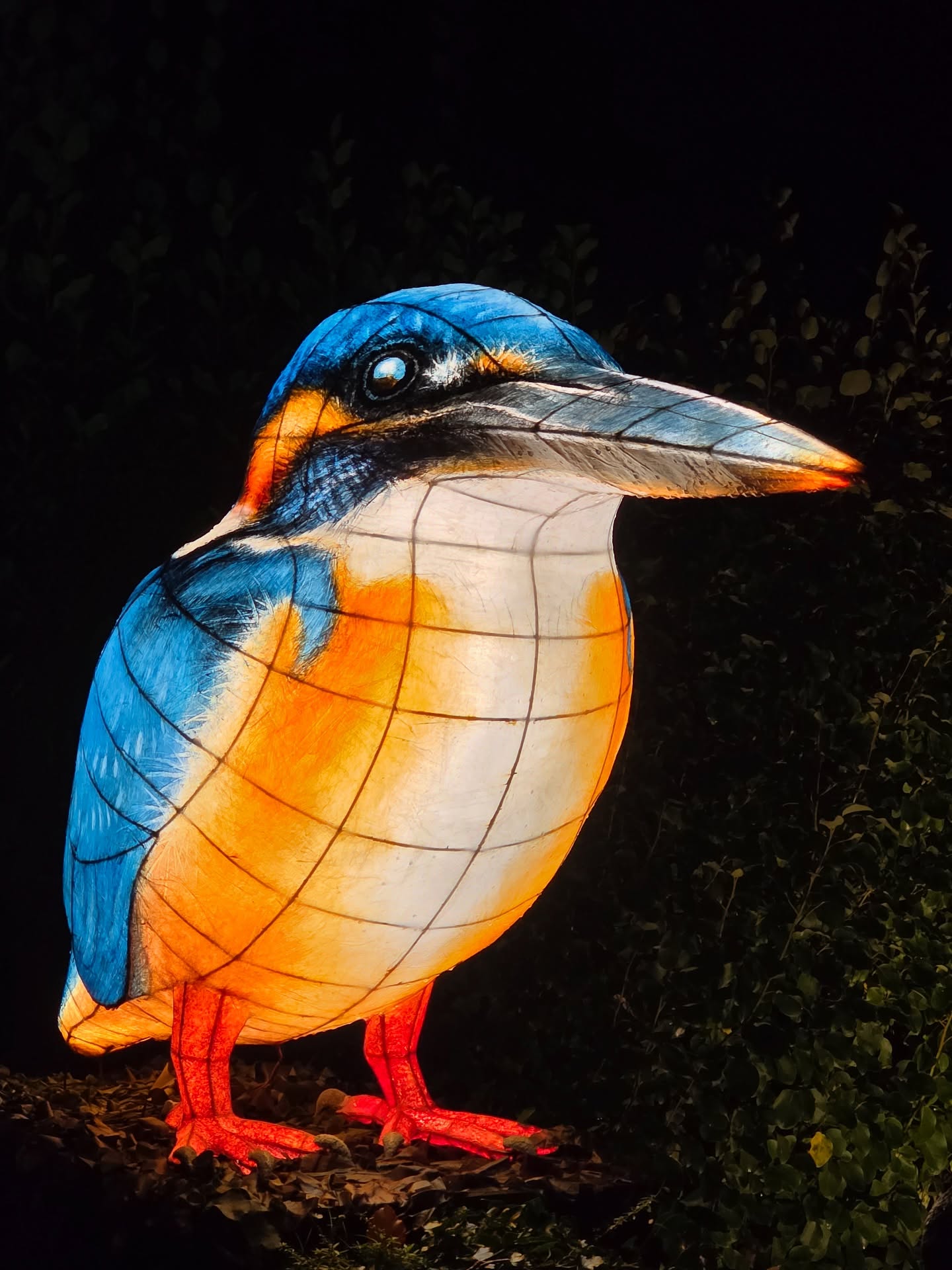 Experience the Magic of Cornwall's Heligan Night Garden This Winter - @https://www.instagram.com/carlyonbayhotel