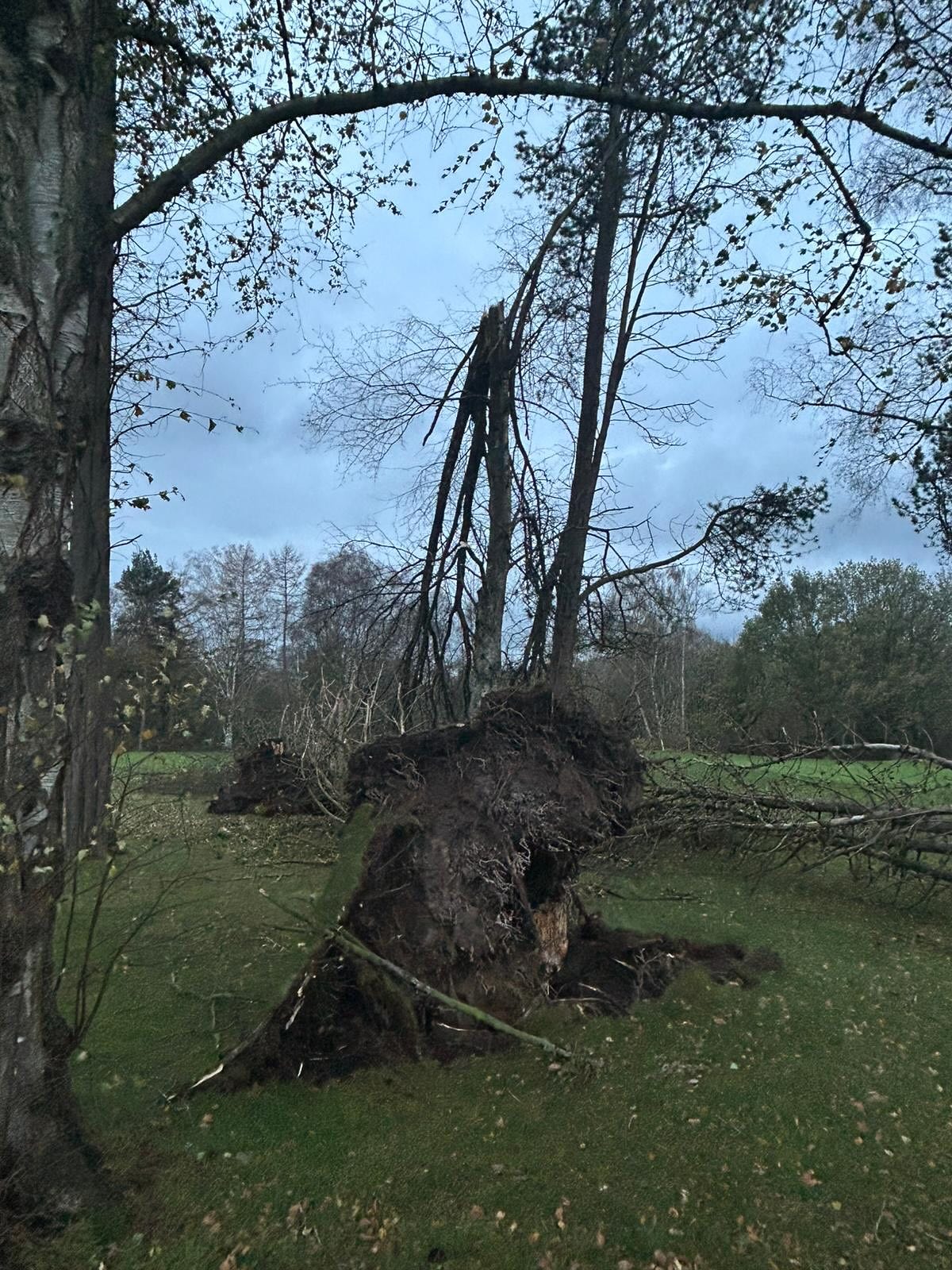 Cleanup Efforts After Storm Claudia at Prestbury Golf Club - @https://www.instagram.com/prestburygolfclub