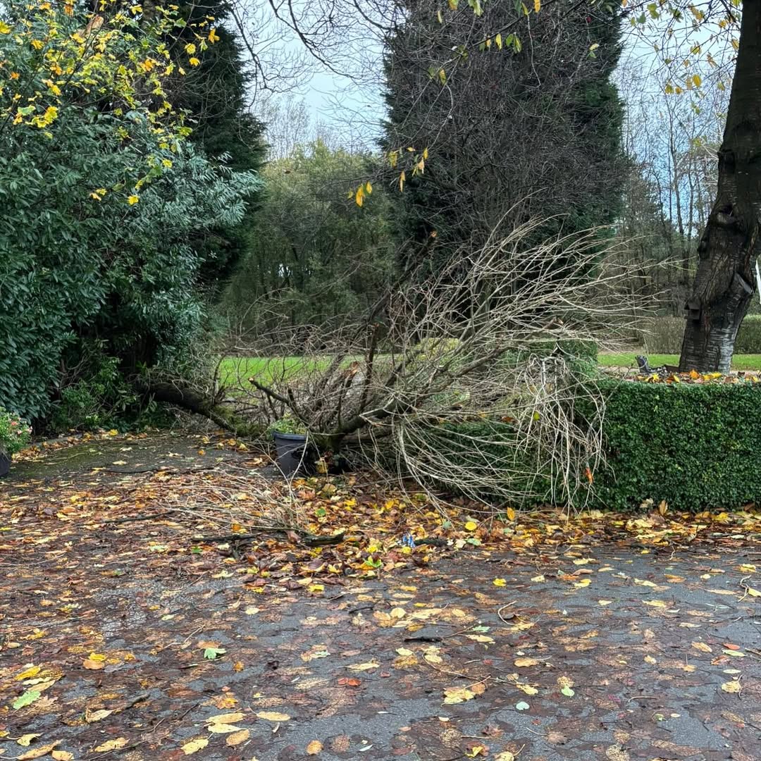 Course Update: Storm Claudia's Impact on Our Golf Club - @https://www.instagram.com/blackleygolfclub_1907/