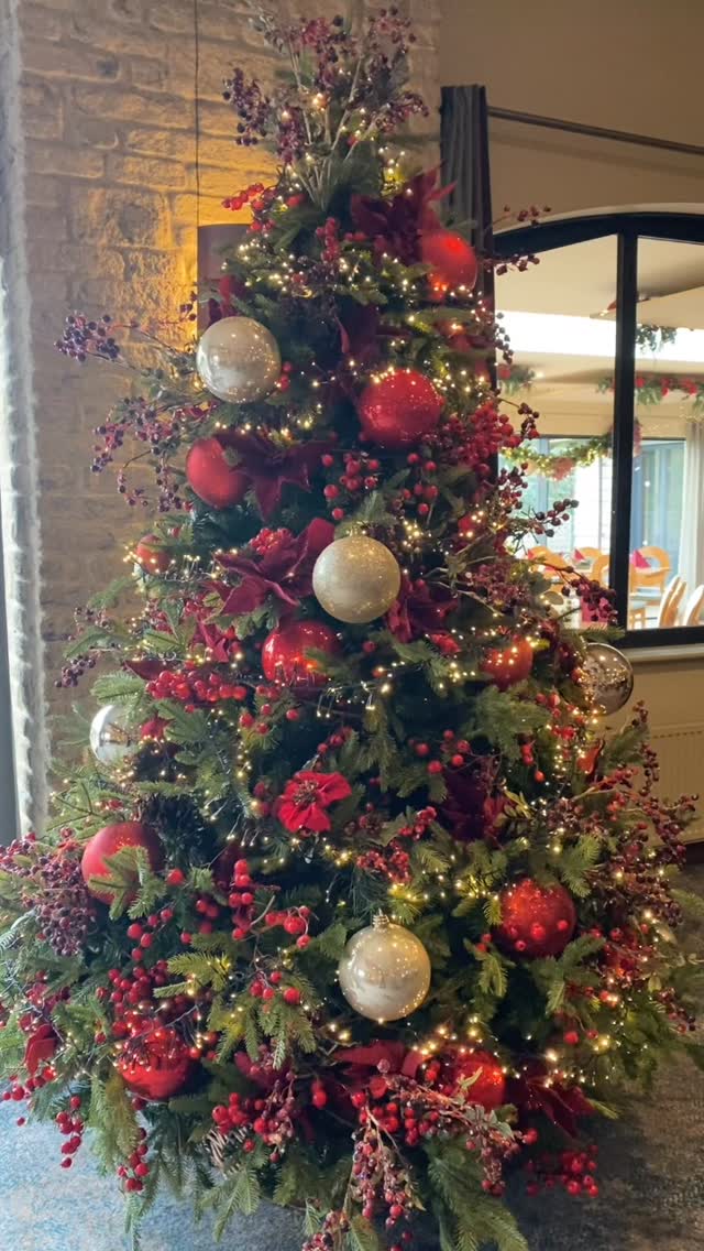 Dainton Park Welcomes the Festive Season with Cheerful Celebrations - @https://www.instagram.com/dainton_park