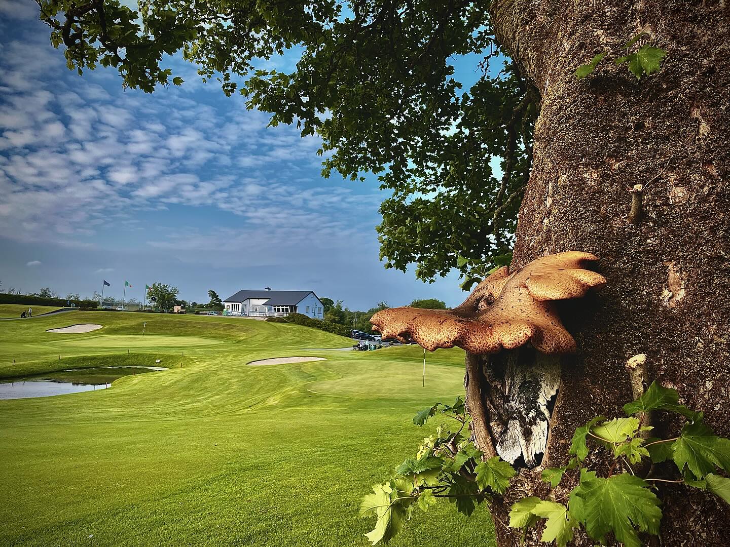 Volunteers Help Refresh Claremorris Golf Club Grounds - @https://www.instagram.com/claremorris_golf_club