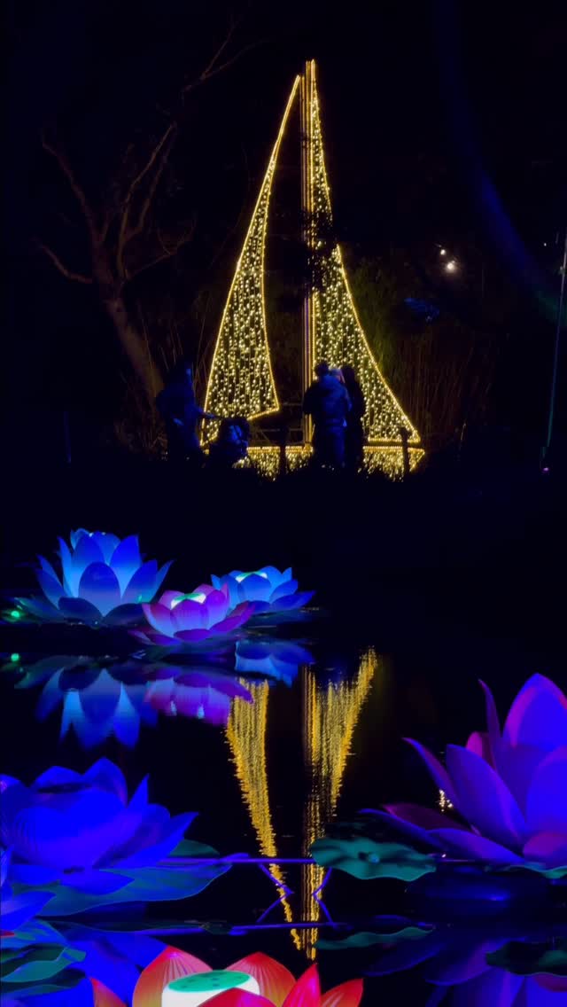 Fota Island Resort visits magical Wonderlights at Fota House - @https://www.instagram.com/fotaislandresort