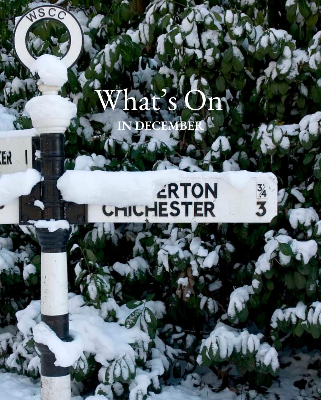 Festive December Delights at Goodwood Golf Club - @https://www.instagram.com/goodwood