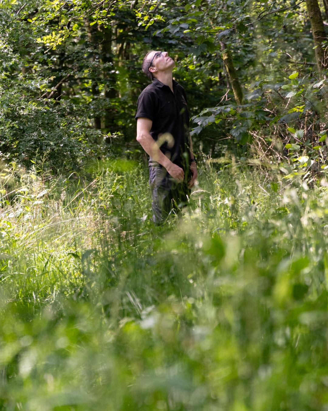 Cameron House Golf Club repurposes fallen trees for wildlife - @https://www.instagram.com/cameronhouselochlomond