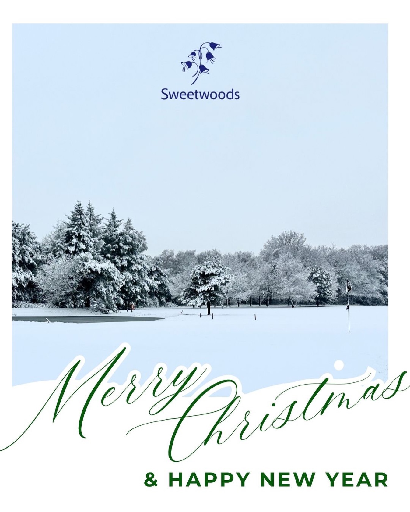 Sweetwoods Golf Club sends festive greetings to members - @https://www.instagram.com/sweetwoodsgolfclub