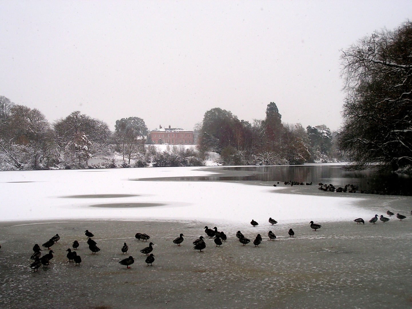 Braxted Park Estate sends festive wishes to wedding couples - @https://www.instagram.com/braxtedparkestate