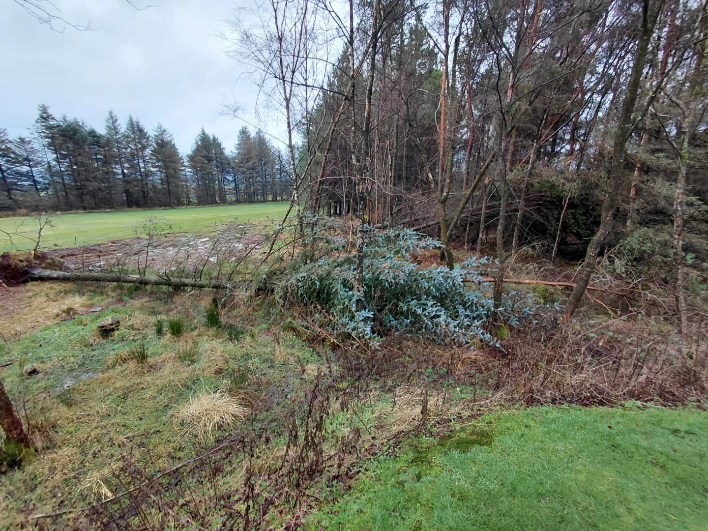 Cathkin Braes Golf Club shares winter course maintenance update - @https://www.instagram.com/cathkinbraesgc