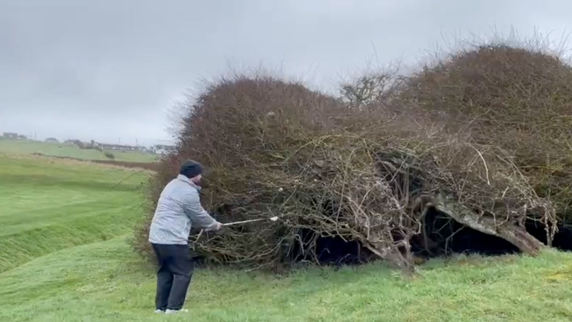 Viral Golf Shot: Backwards Chip from the Bush Goes Global