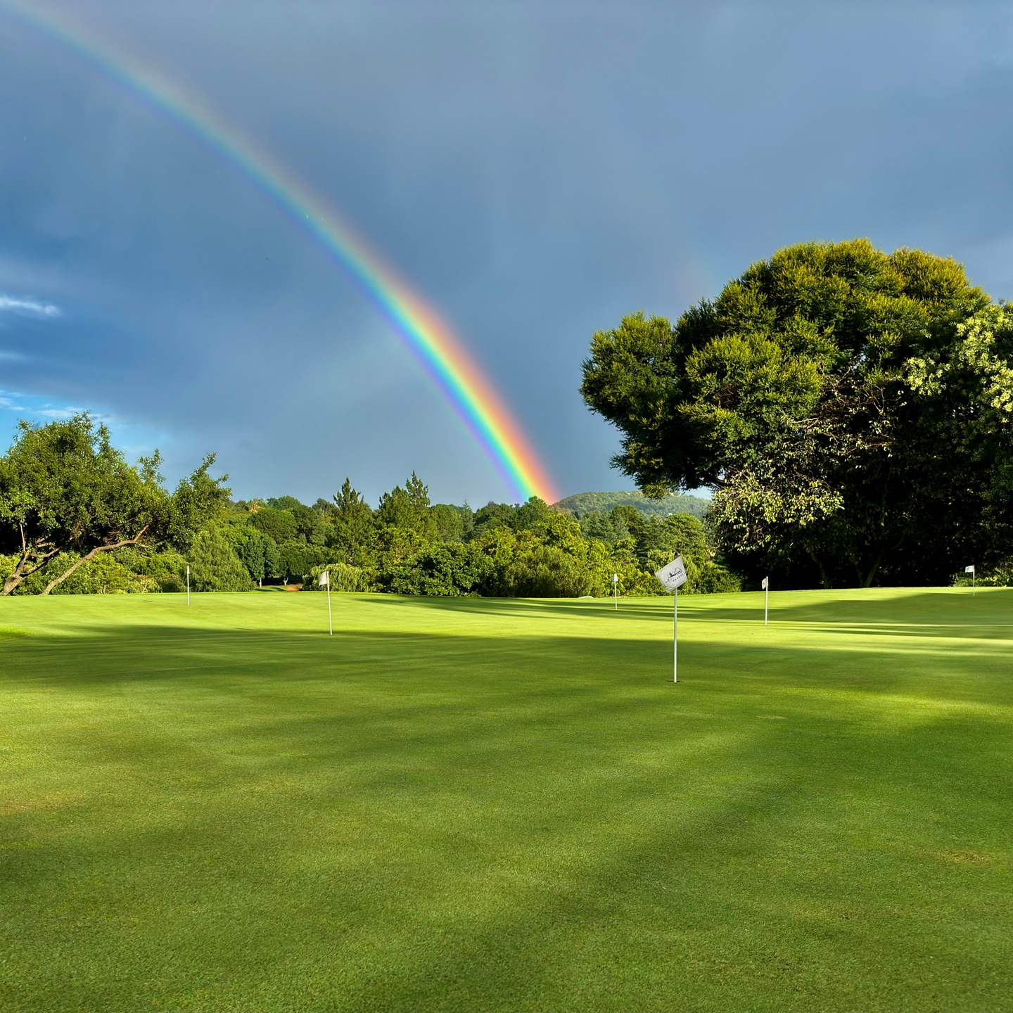 Randpark Golf Club Kicks Off 2026 with New Year Cheer and Excitement - @https://www.instagram.com/randparkgolfclub