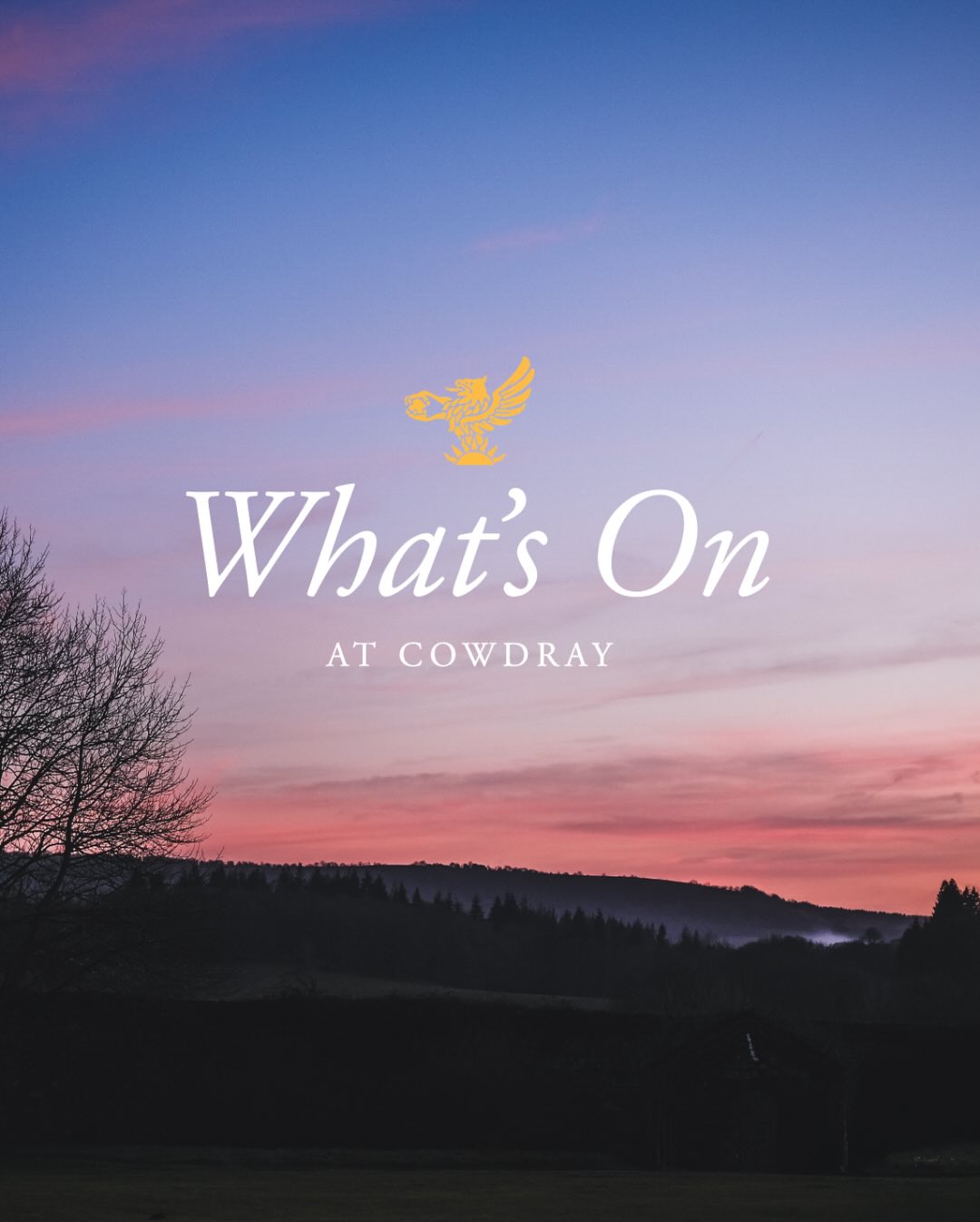 Exciting January Events at Cowdray Golf Club - @https://www.instagram.com/cowdrayestate