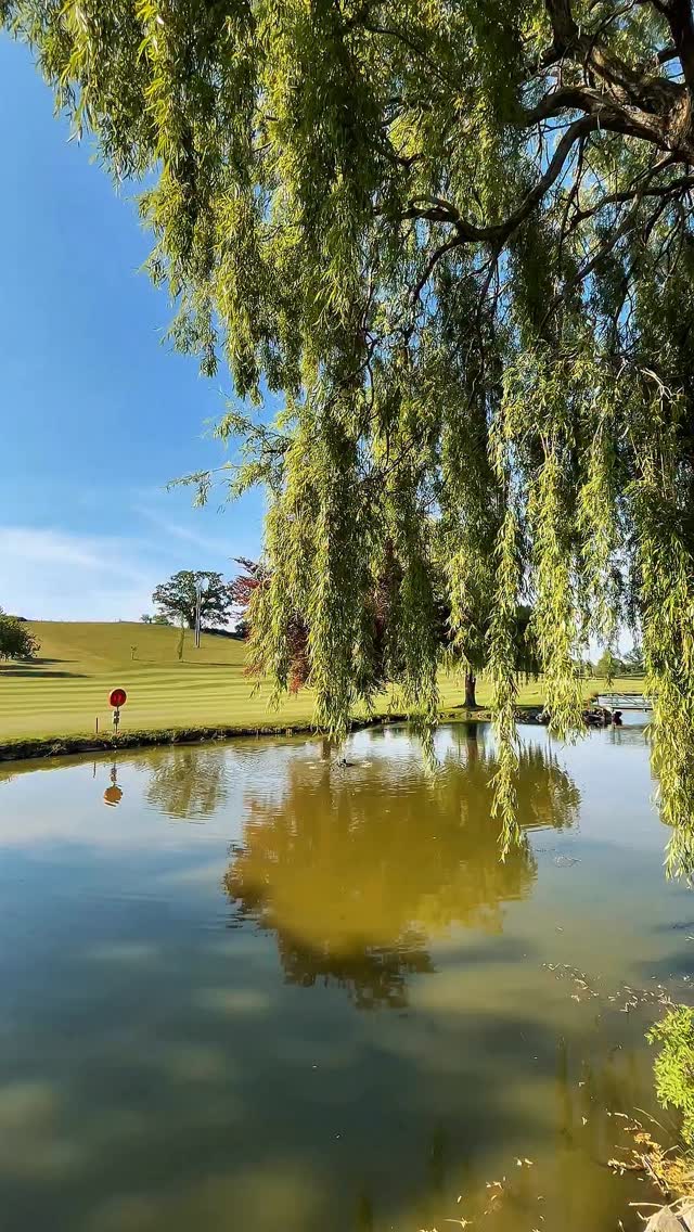 Happy New Year’s Eve Celebration at Lakeside Golf Club - @https://www.instagram.com/Lakesidegarthmyl