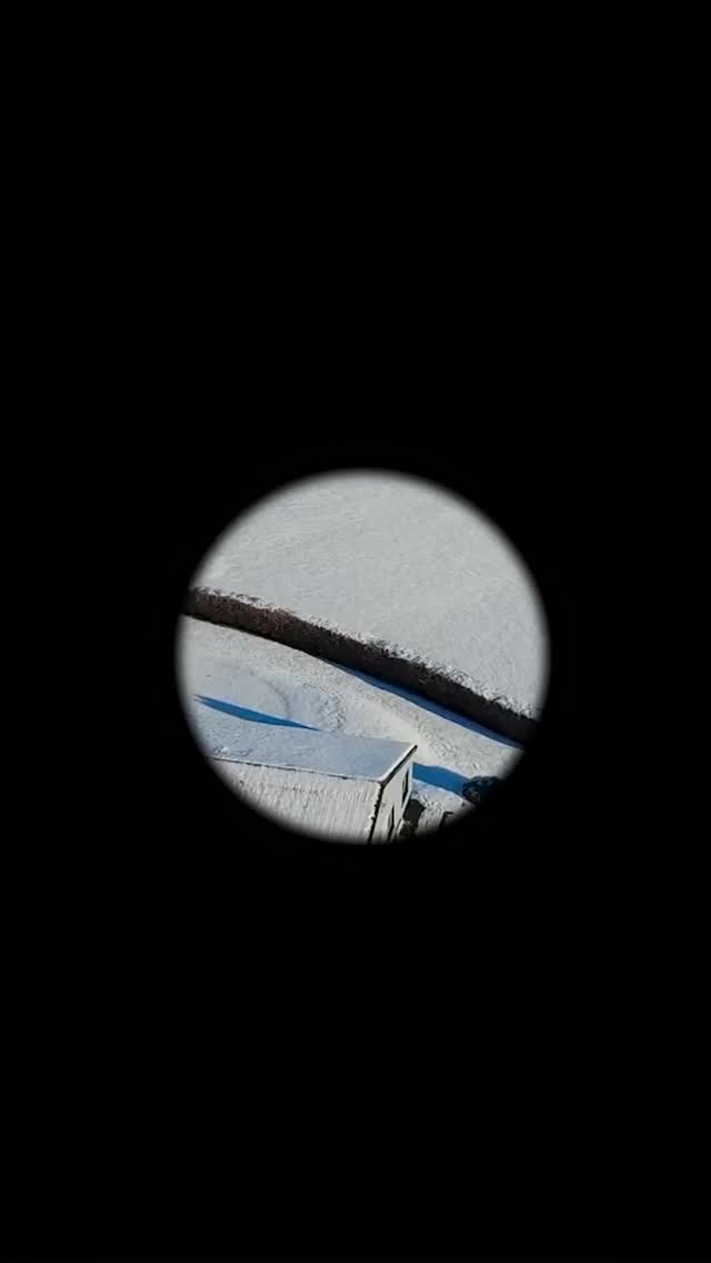 Abbeyleix Golf Club Reflects on a Memorable 2025 Season - @https://www.instagram.com/abbeyleixgolf