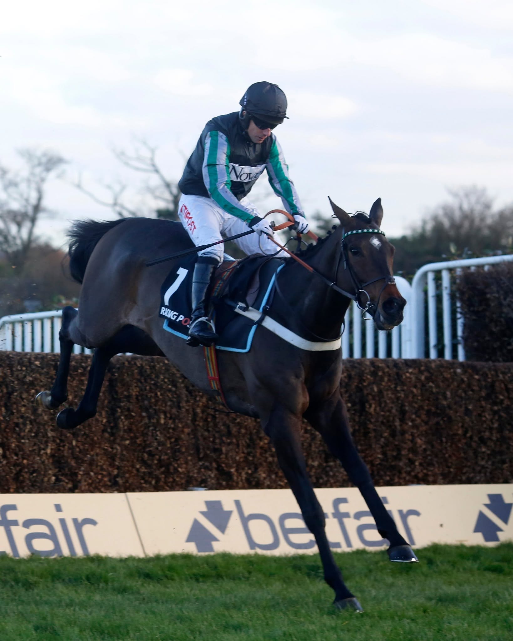 Sandown Park: A Throwback to Iconic Horses in 2016 - @https://www.instagram.com/sandownparkracecourse