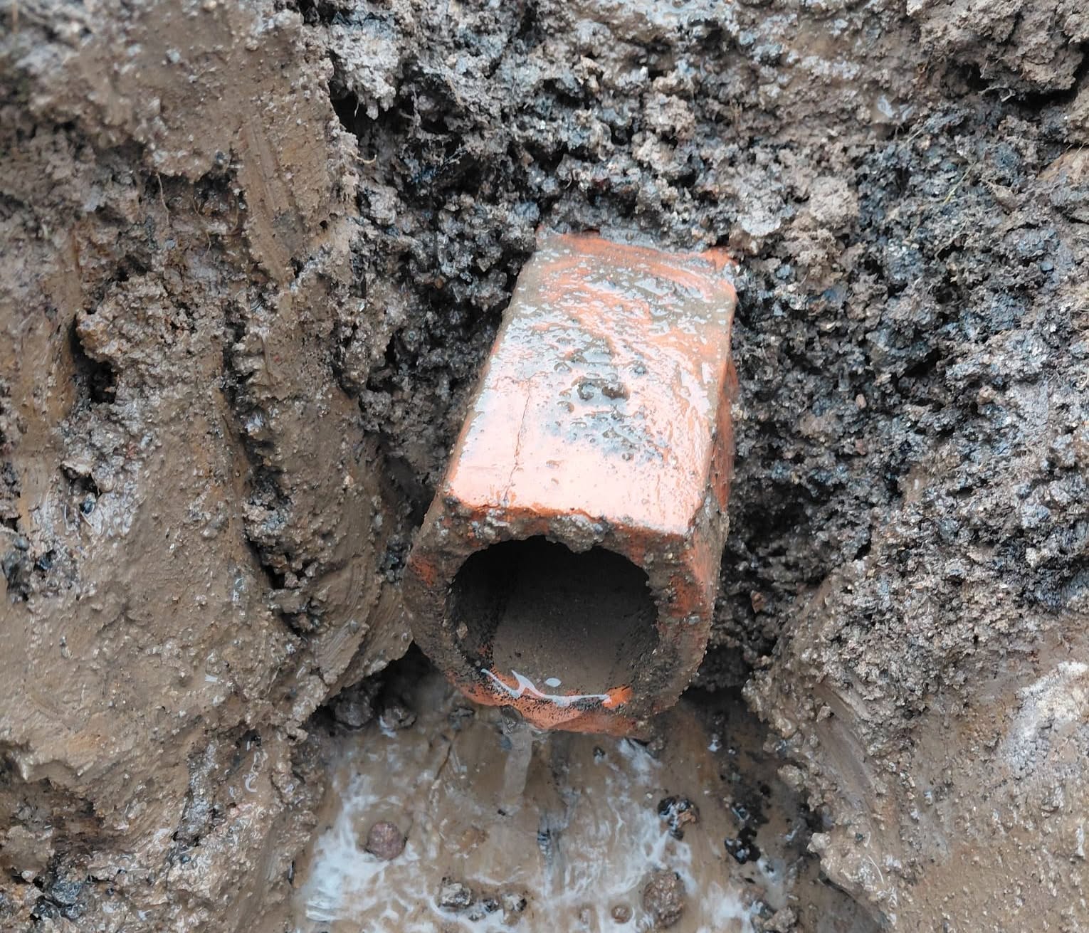 Cathkin Braes Golf Club Faces Tree Damage But Progresses on Projects - @https://www.instagram.com/cathkinbraesgc